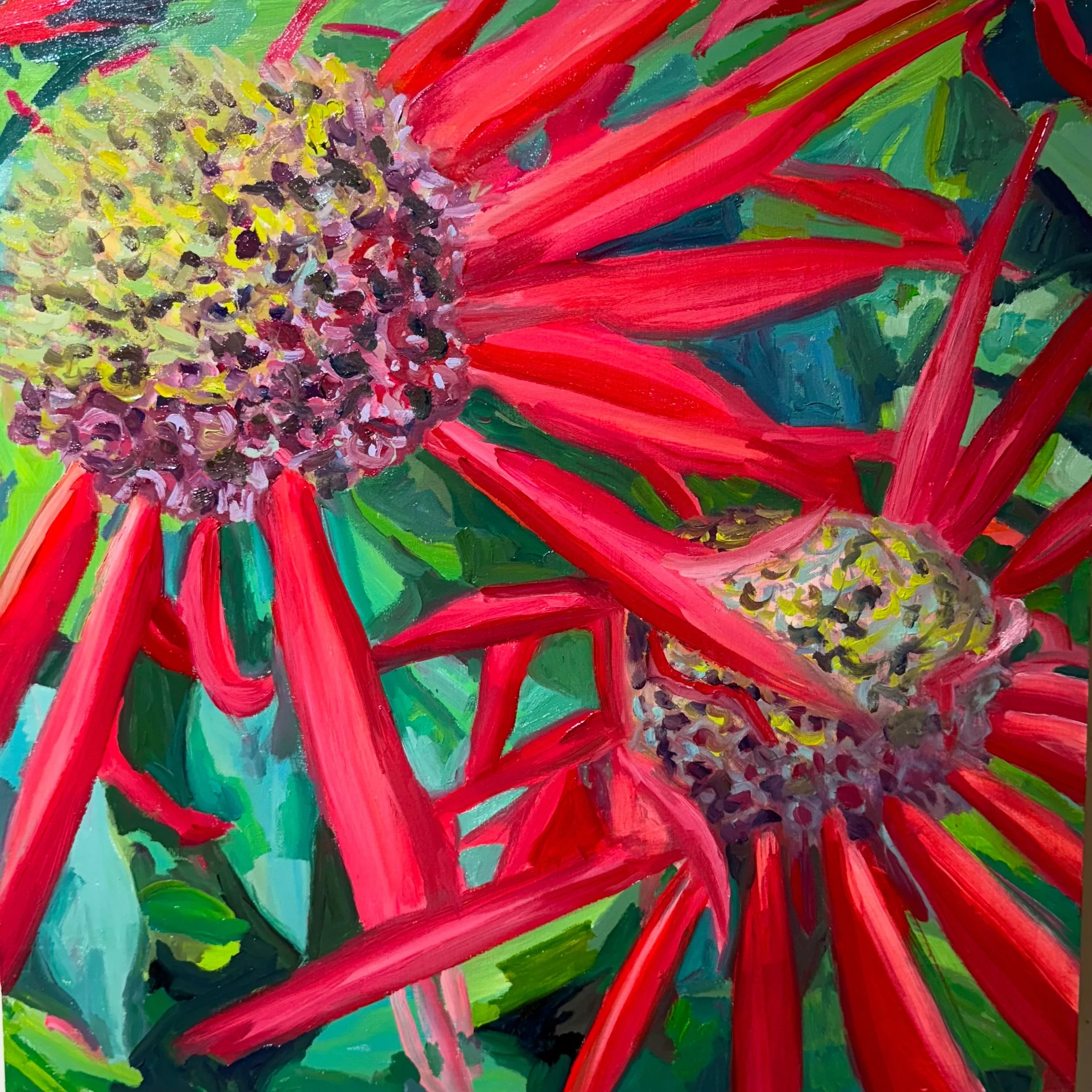 Monardo, oil on board, 16" x 16" 2025





All images © 2026 Adele Drake