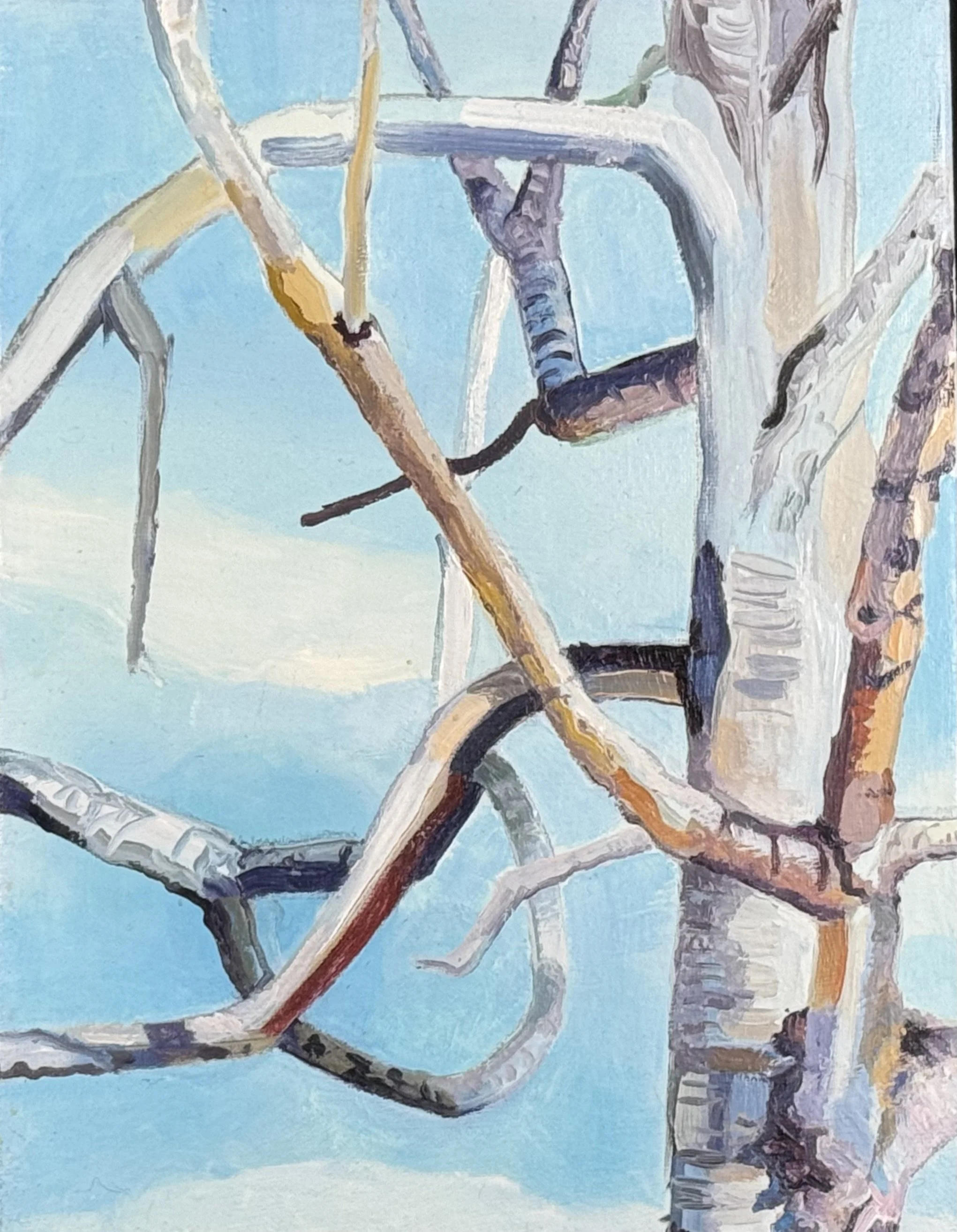 
Tree Talk #3, Oil on Canvas, 9” x 12”, 2023

All images © 2026 Adele Drake
