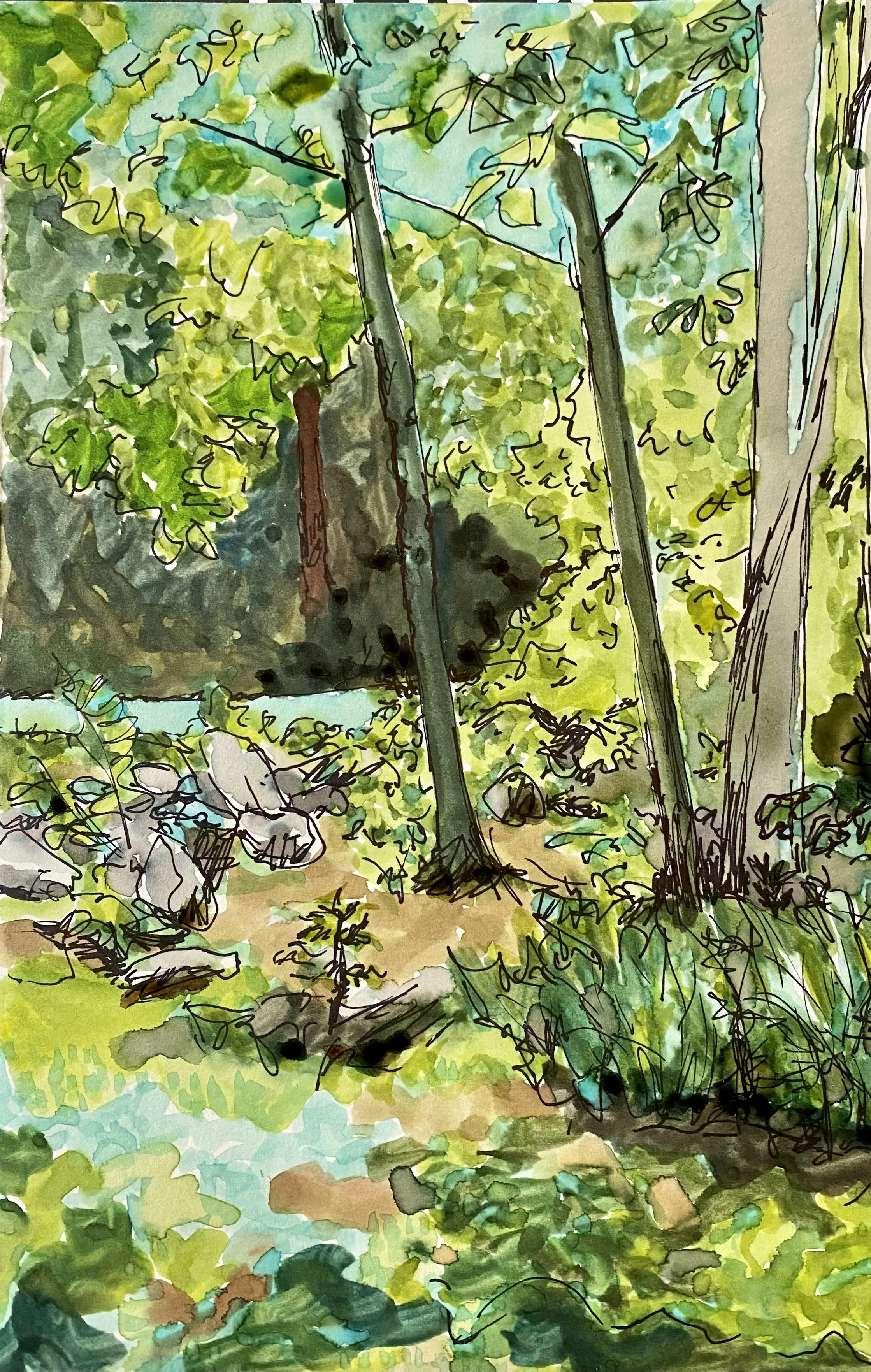 Edge of the Woods, watercolor on paper, 9"x 12", 2021

All images © 2026 Adele Drake