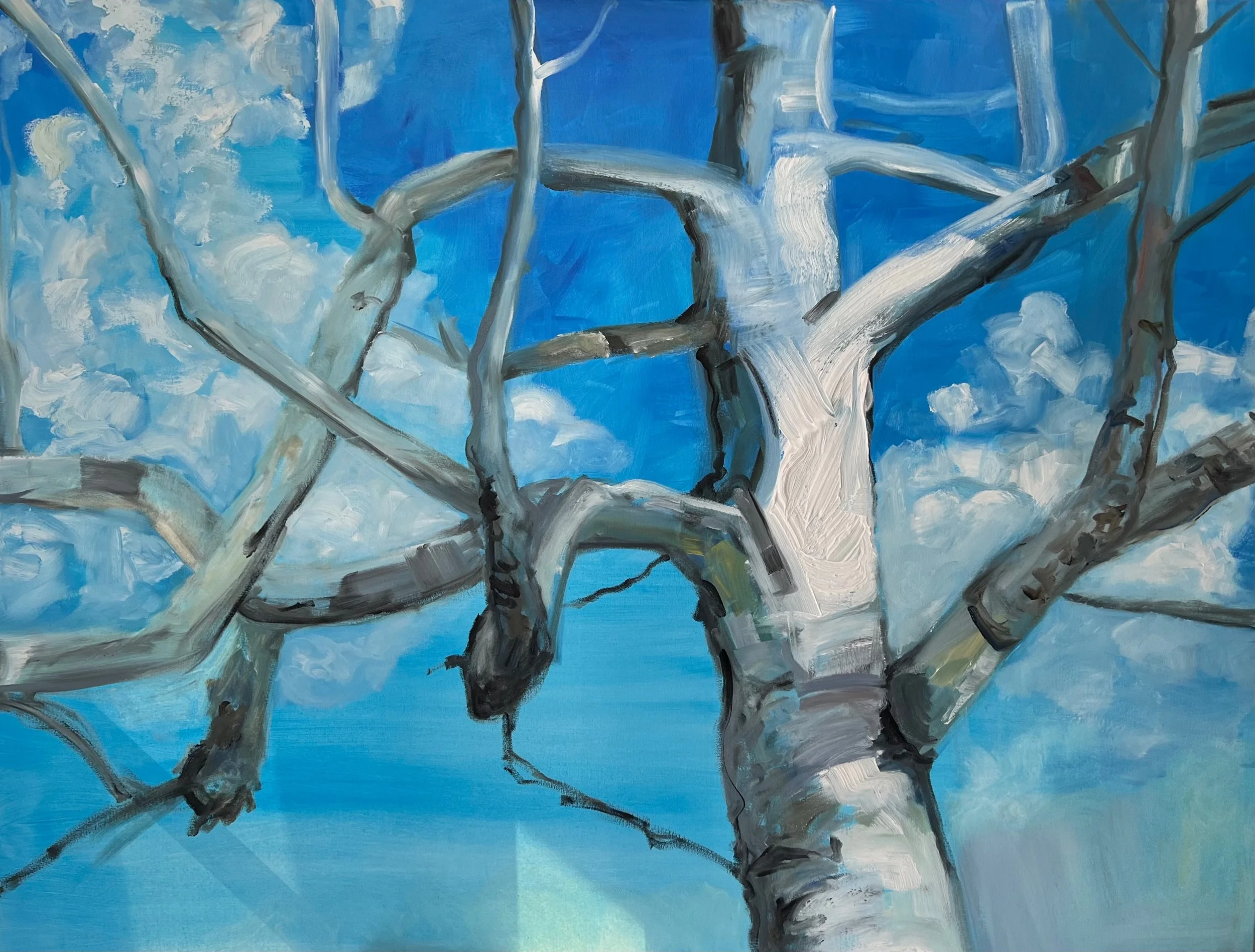 Free to be, oil on Canvas, 36’ x 46”, 2023	

All images © 2026 Adele Drake
