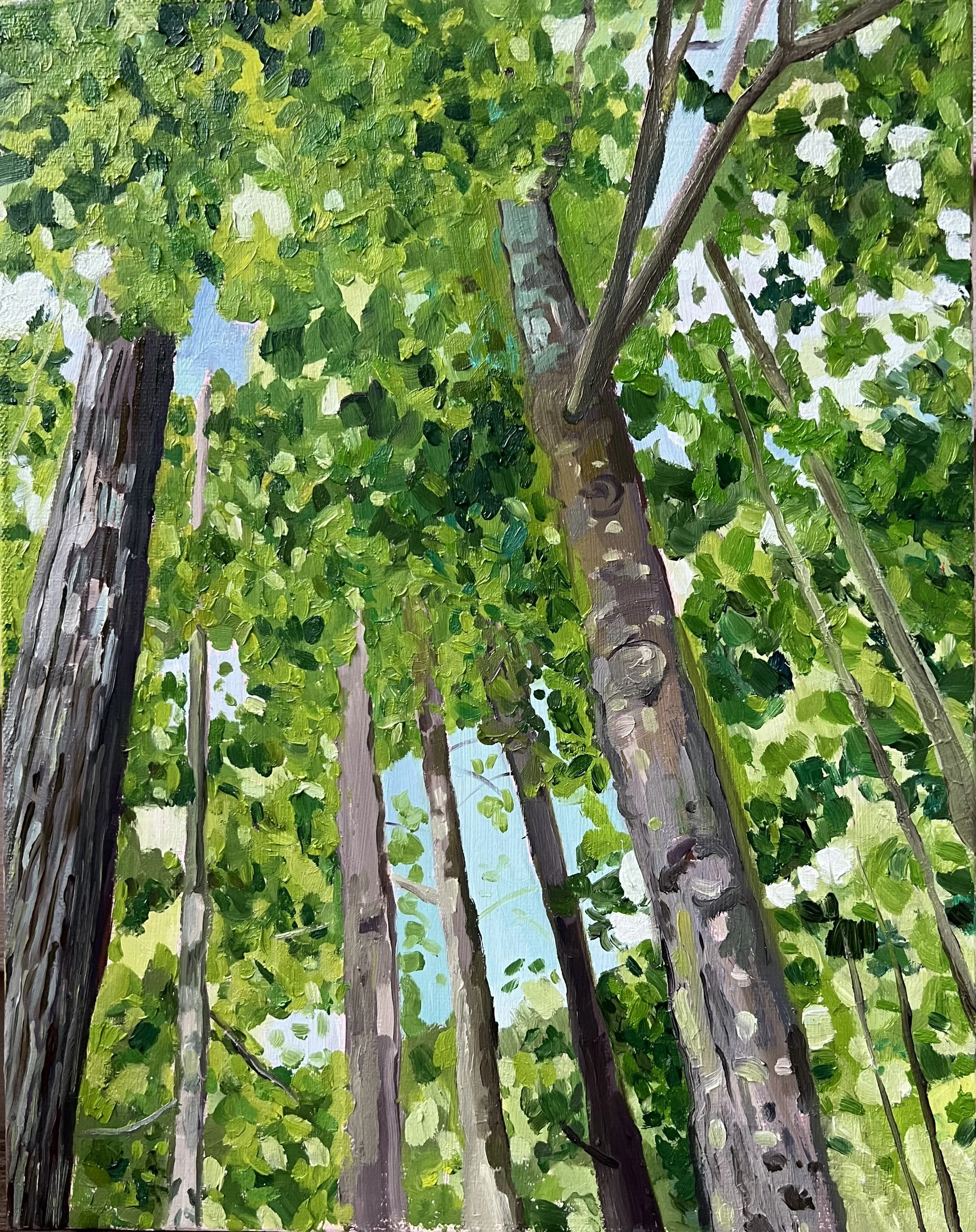 Sound of Trees, oil on board, 11" x 14" 2022

All images © 2026 Adele Drake