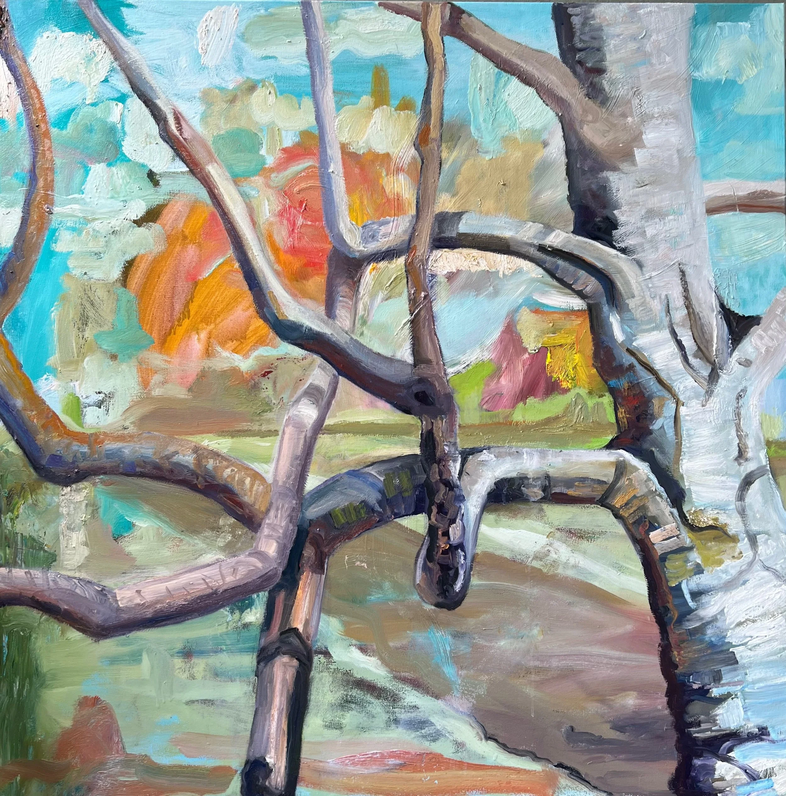 Tree at Sunset, oil on Canvas, 36’ x 36’ 2023

All images © 2026 Adele Drake