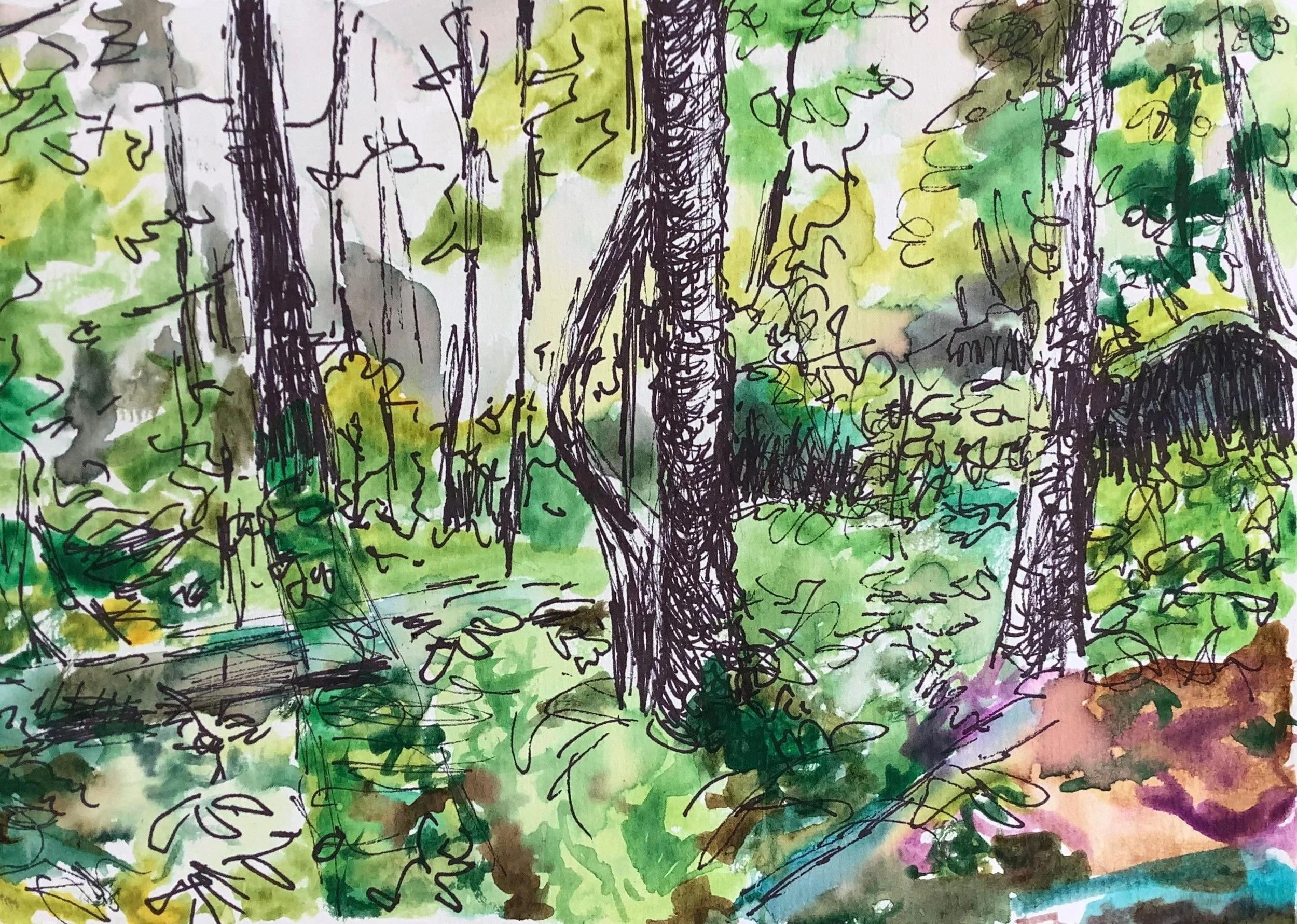 long shadows, watercolor on paper, 9"x 12", 2021


All images © 2026 Adele Drake