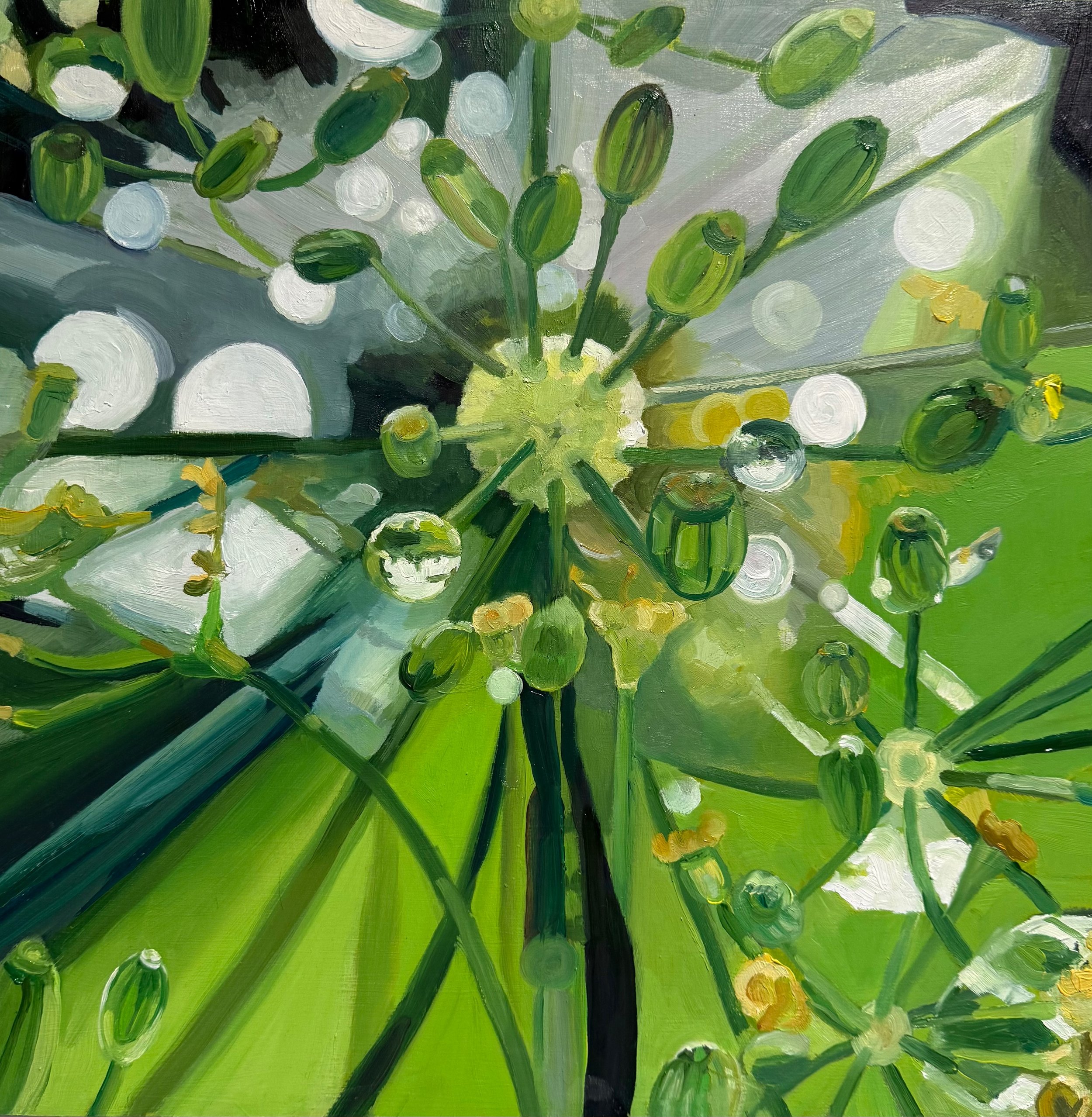 Dew on Dill, oil on board, 16" x 16" 2025



All images © 2026 Adele Drake