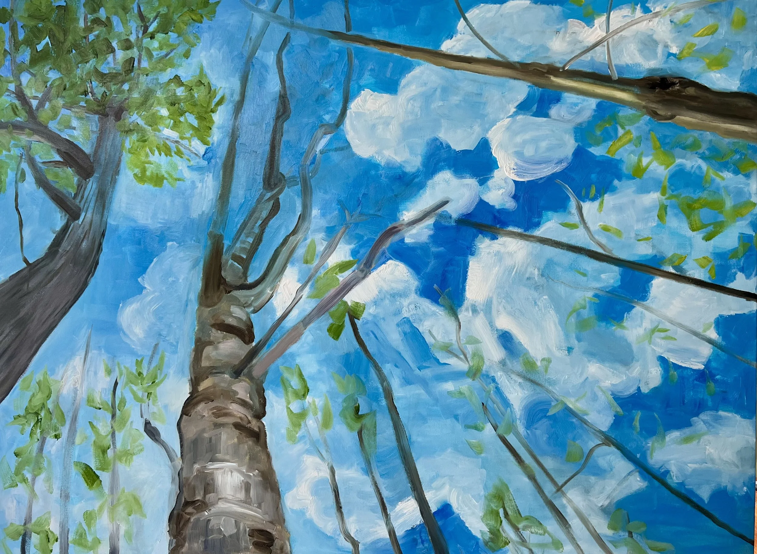 Breath, oil on Canvas, 36’ x  42”, 2023

All images © 2026 Adele Drake