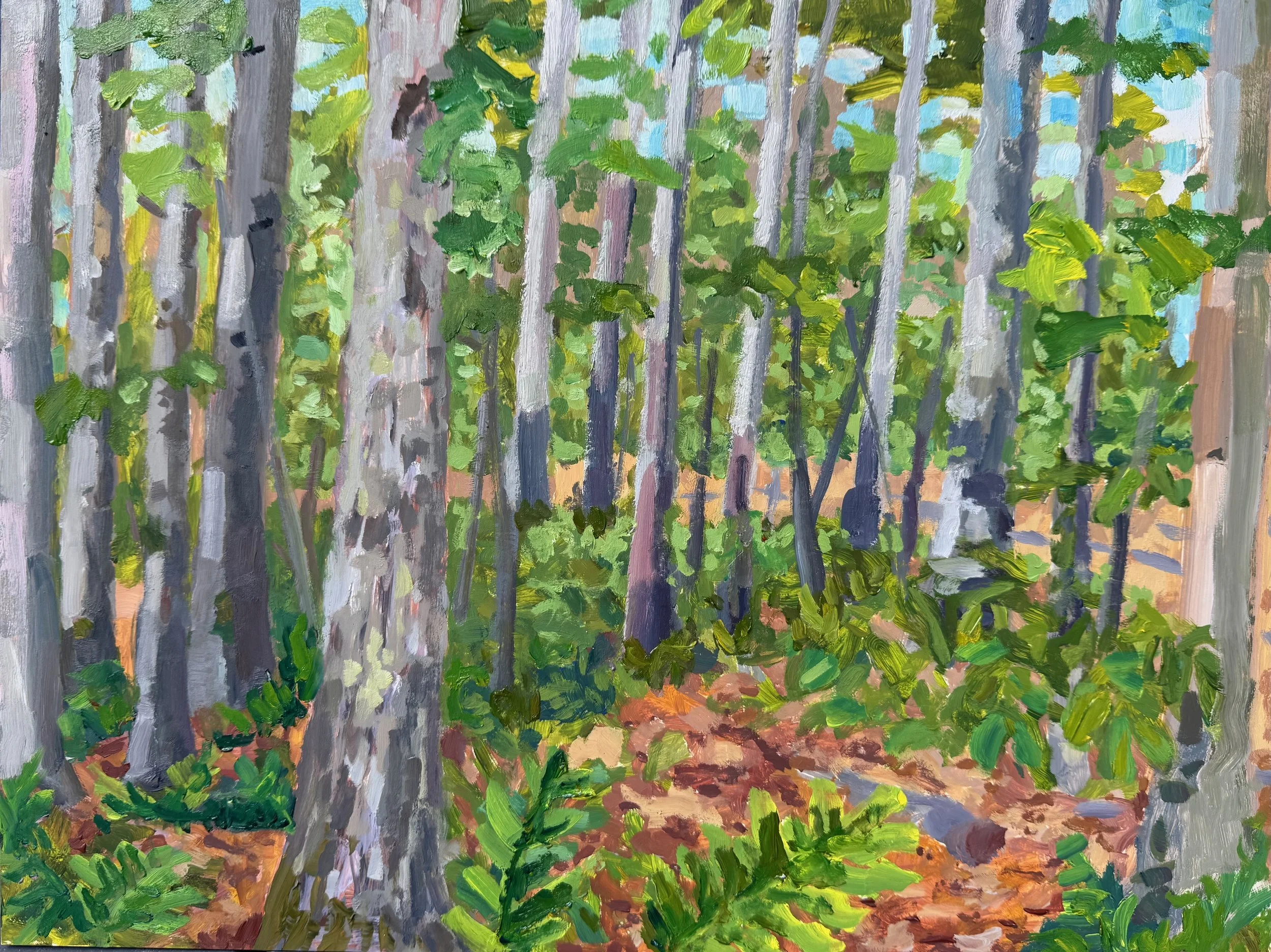 Backyard Forest, 12" x 16",  Oil on Panel, 2026