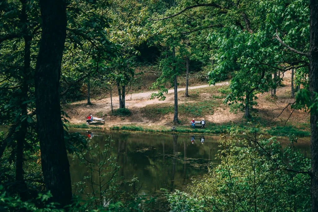People sitting on benches near a pond surrounded by trees in a park.