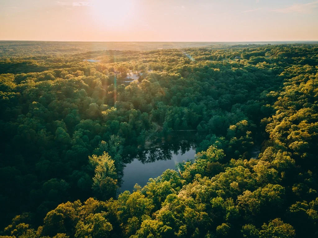 Aerial view of a dense forest with a small lake, taken during sunset with sunlight filtering through the trees.
