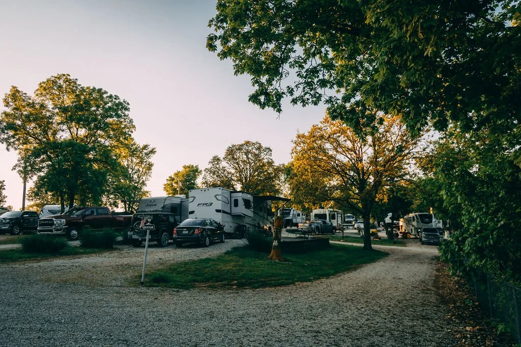 RV park with multiple RVs, trucks, and cars parked among trees during daytime.