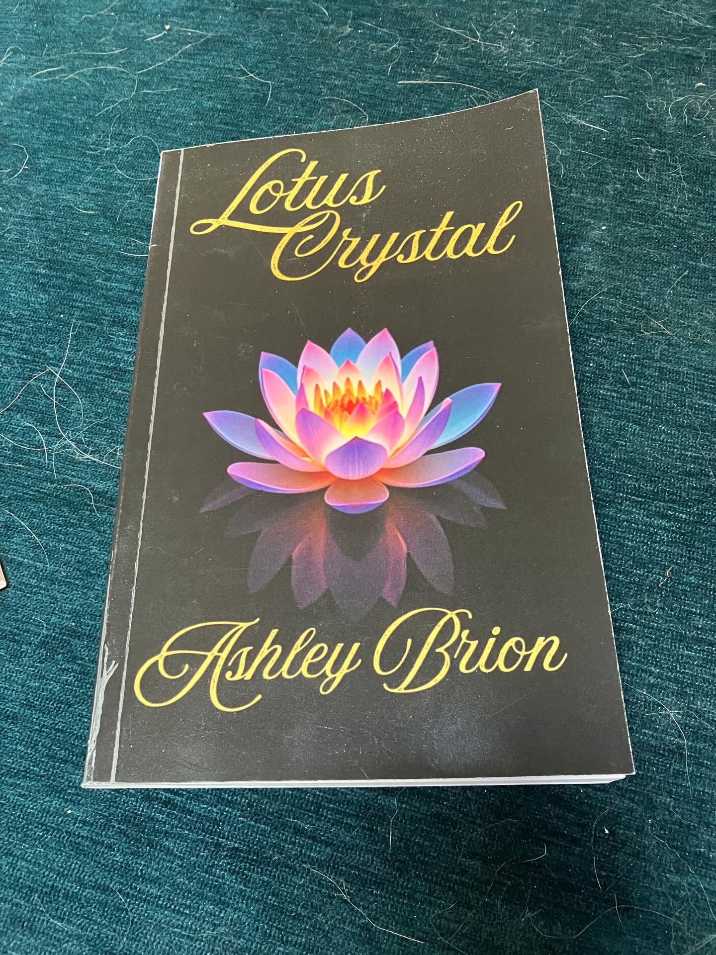 Just finished Lotus Crystal by @authorashleybrion I had the pleasure of attending DelaConn alongside Ashley. We traded books! My review will be coming to Goodreads soon but in the meantime my main complaint is that the book was not long enough to rea