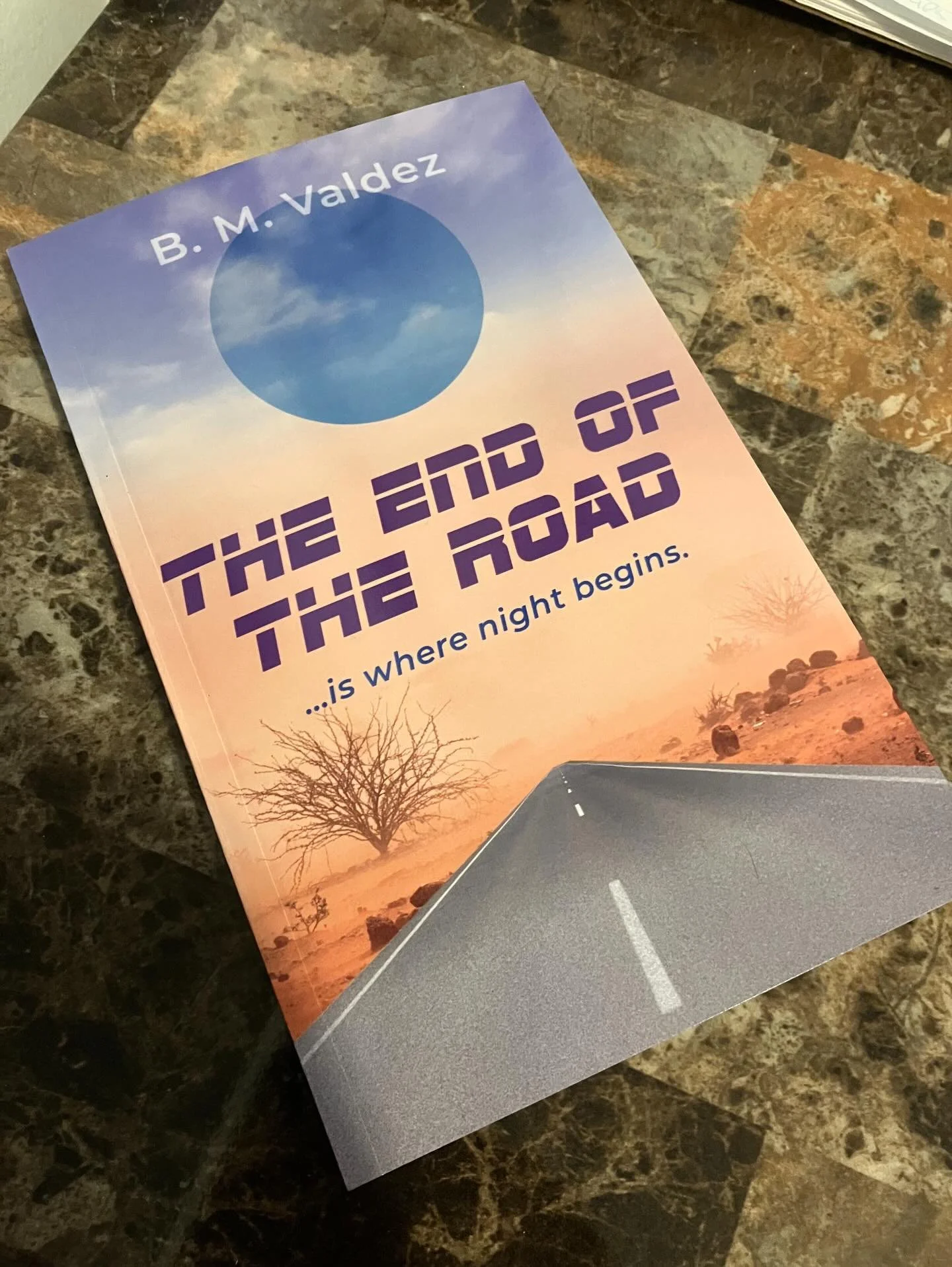 The End of the Road #availablenow You can get your print copy directly from me on my website or from anywhere books are sold. Ebook coming soon. This #queer #scifi features a #dystopian atmosphere as well as a #hightech environment. I have described 