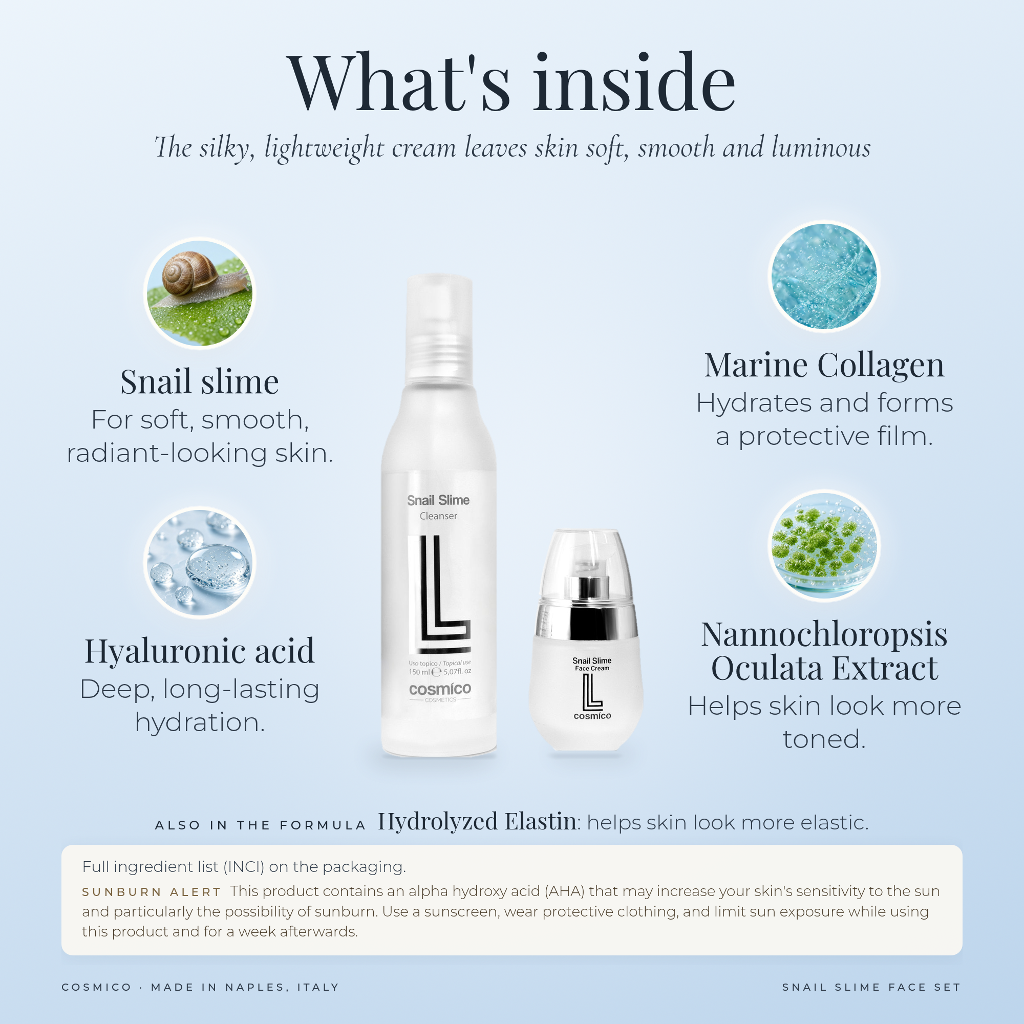 snail-face_b_key-ingredients_v4_2000.png