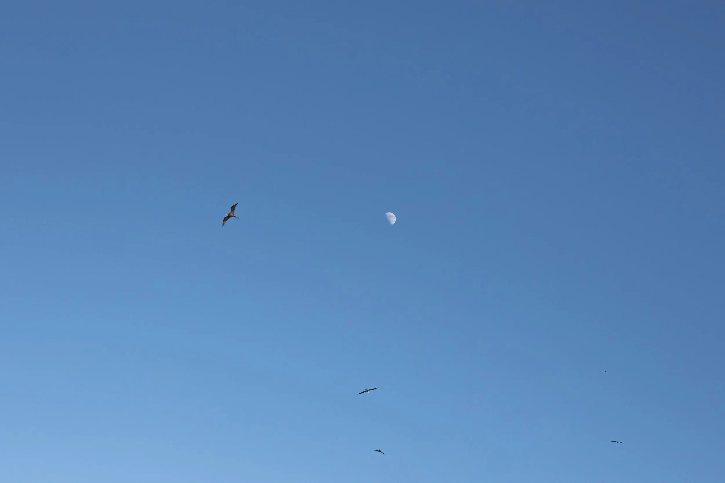 IMG_5784.jpg