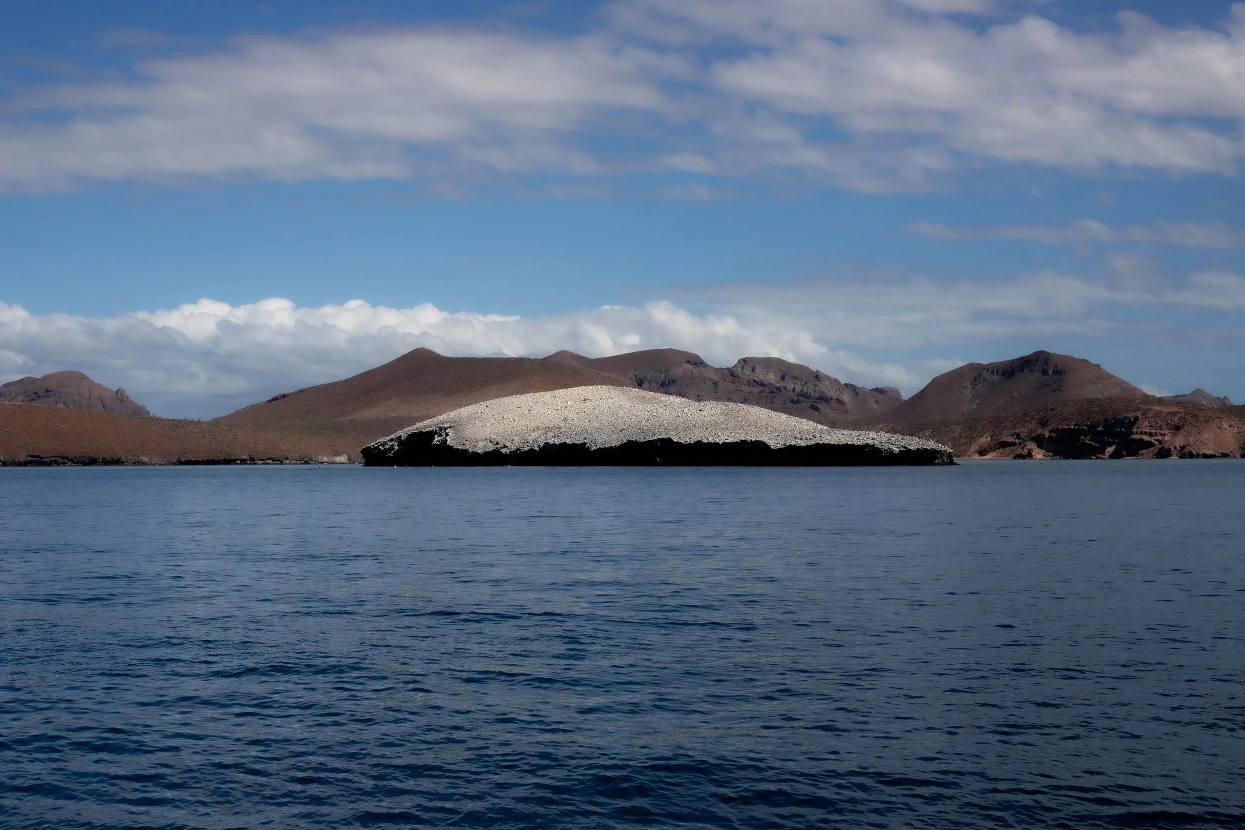 IMG_5512.jpg