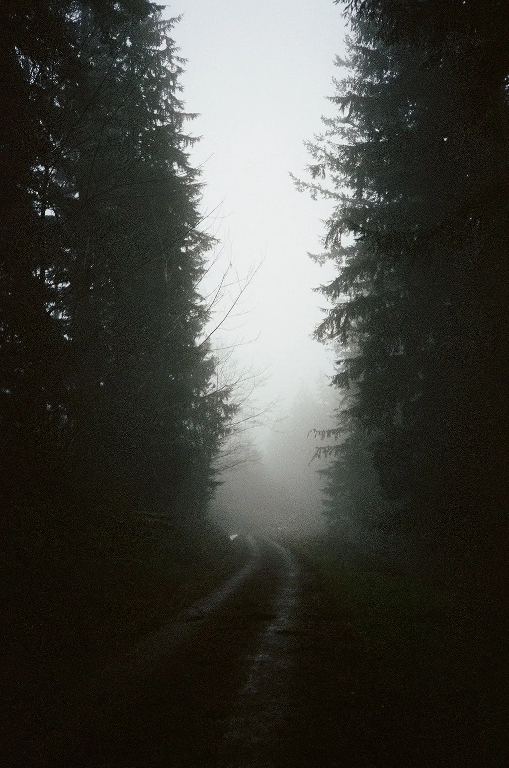 000090980017 copy.jpg