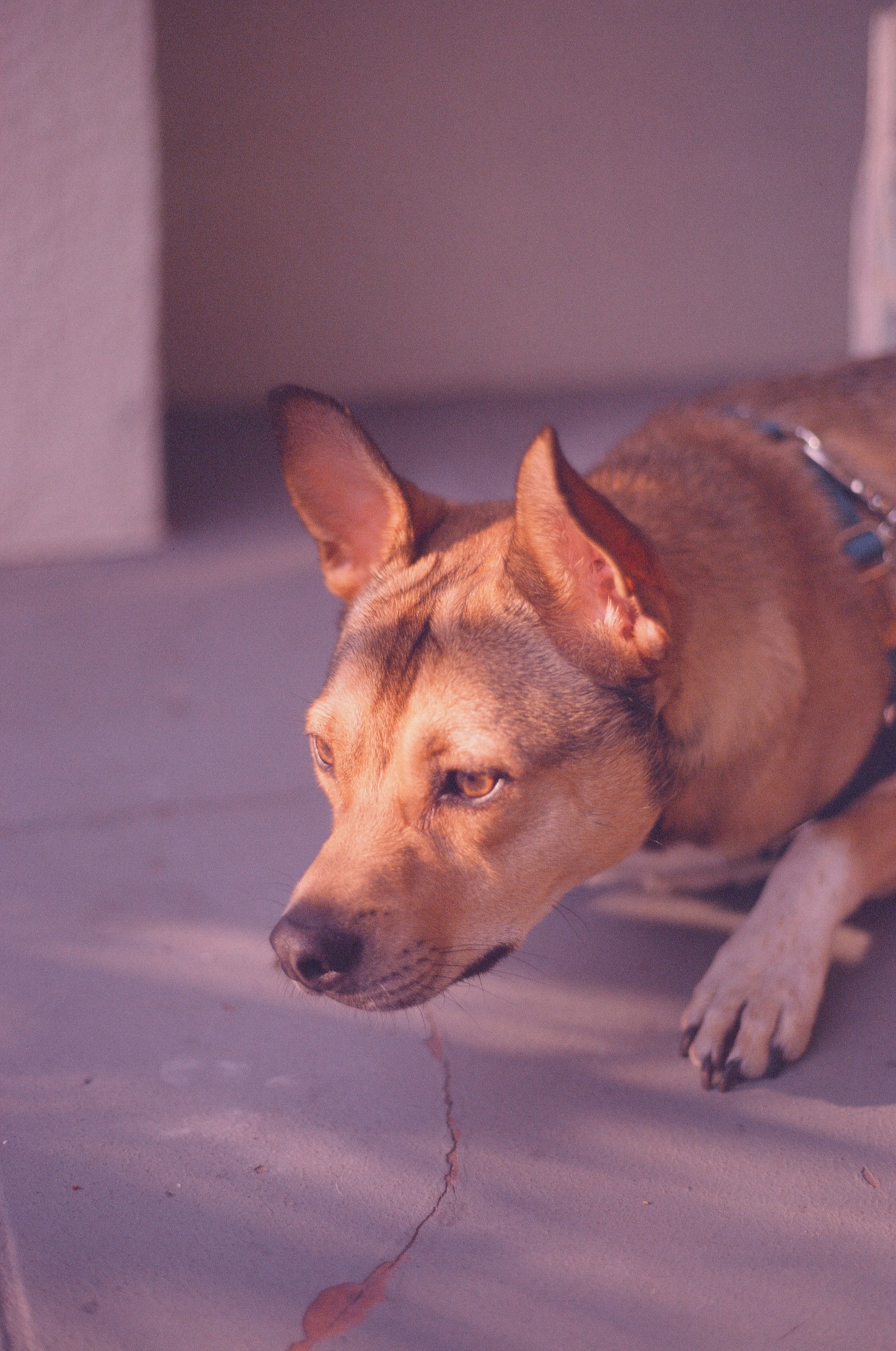 000058600026 copy.jpg