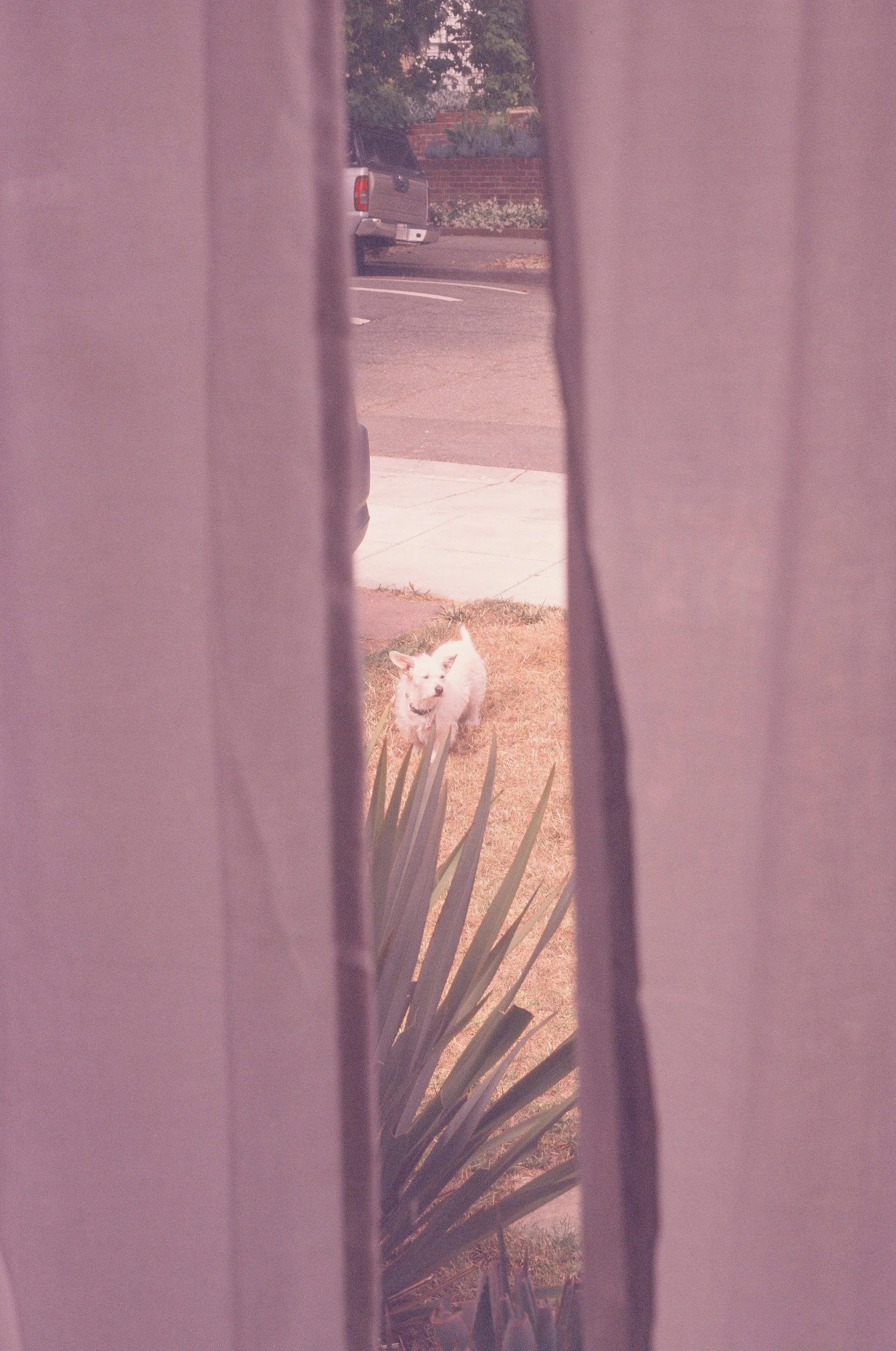 000058600014 copy.jpg