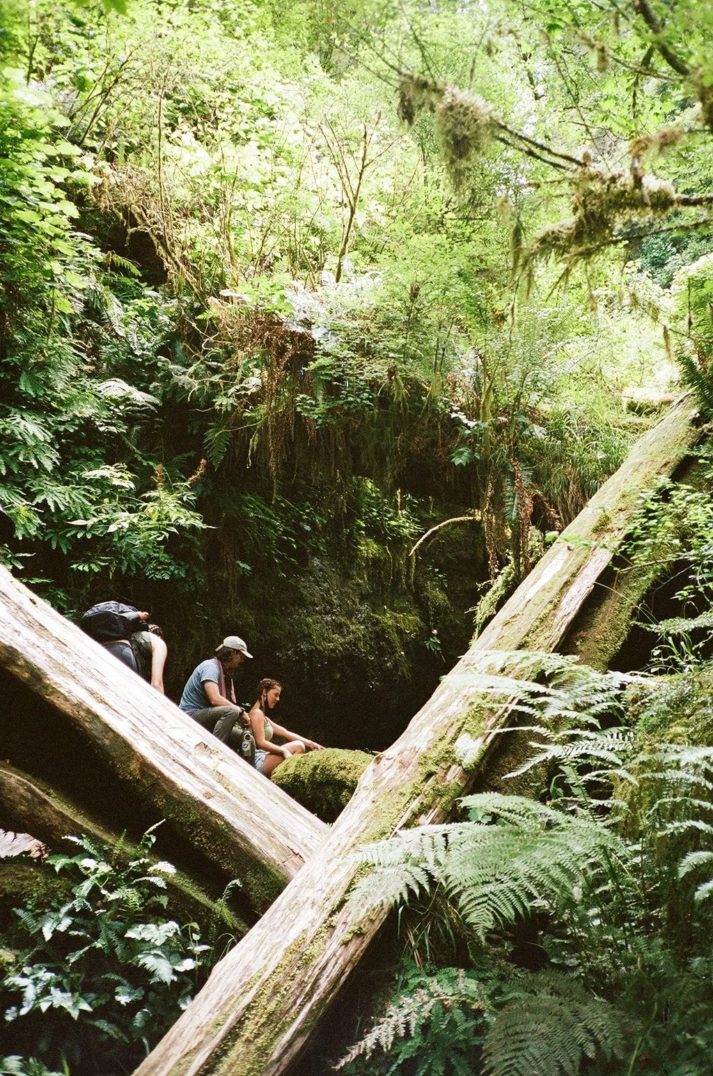 000596160036 copy.jpg