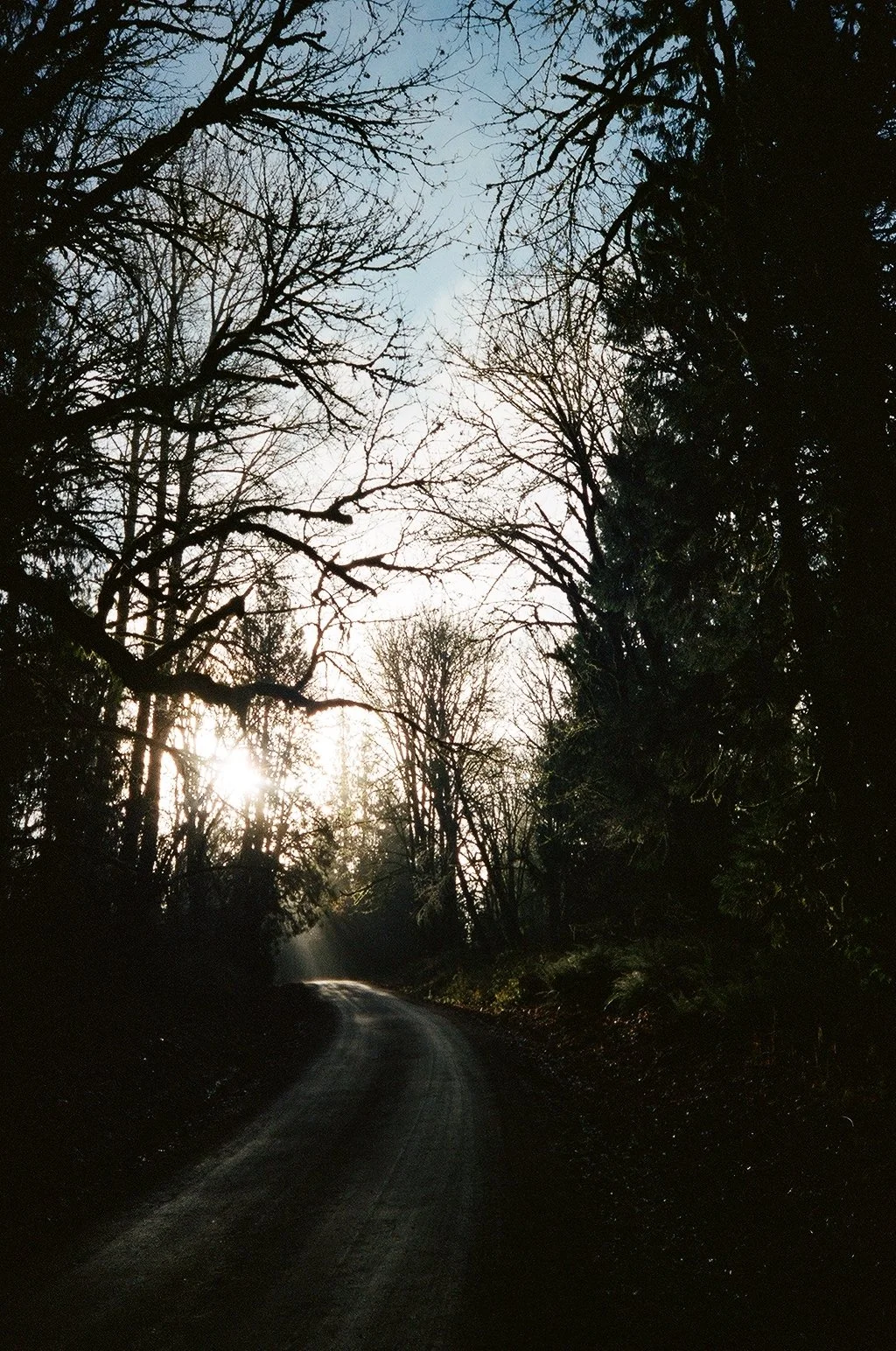 000090980038 copy.jpg