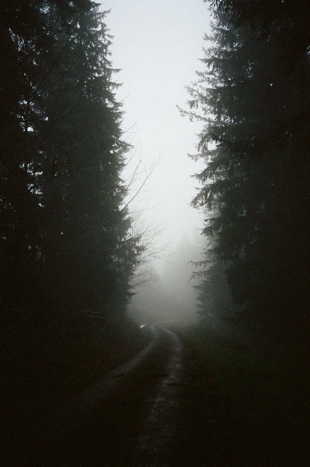 000090980017 copy.jpg