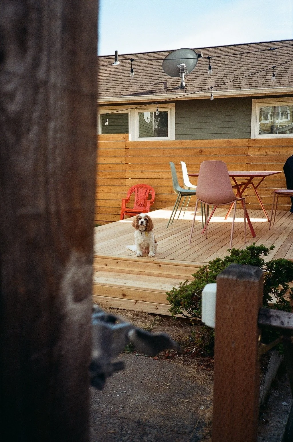 000065670011 copy.jpg