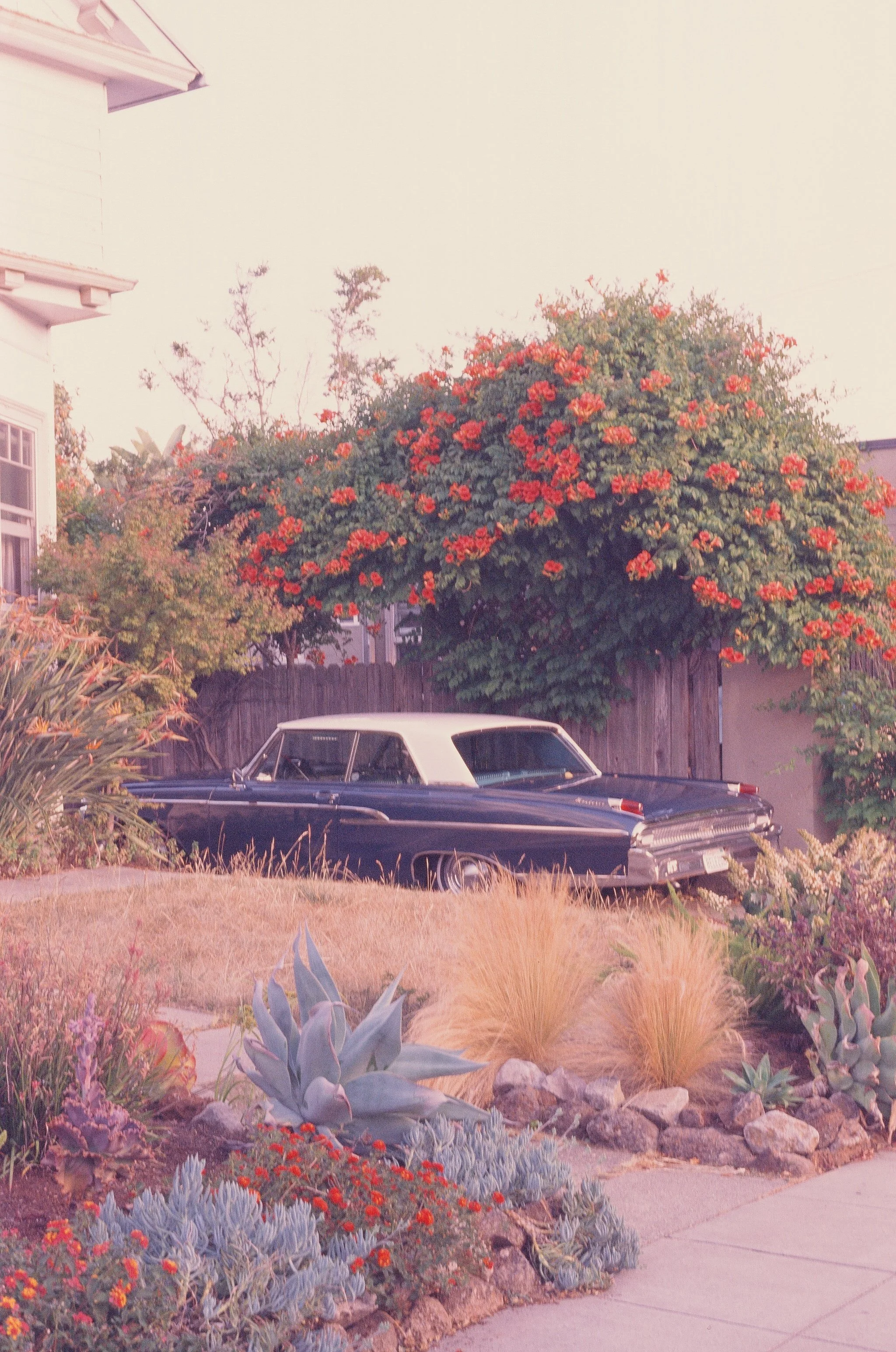 000058600012 copy.jpg