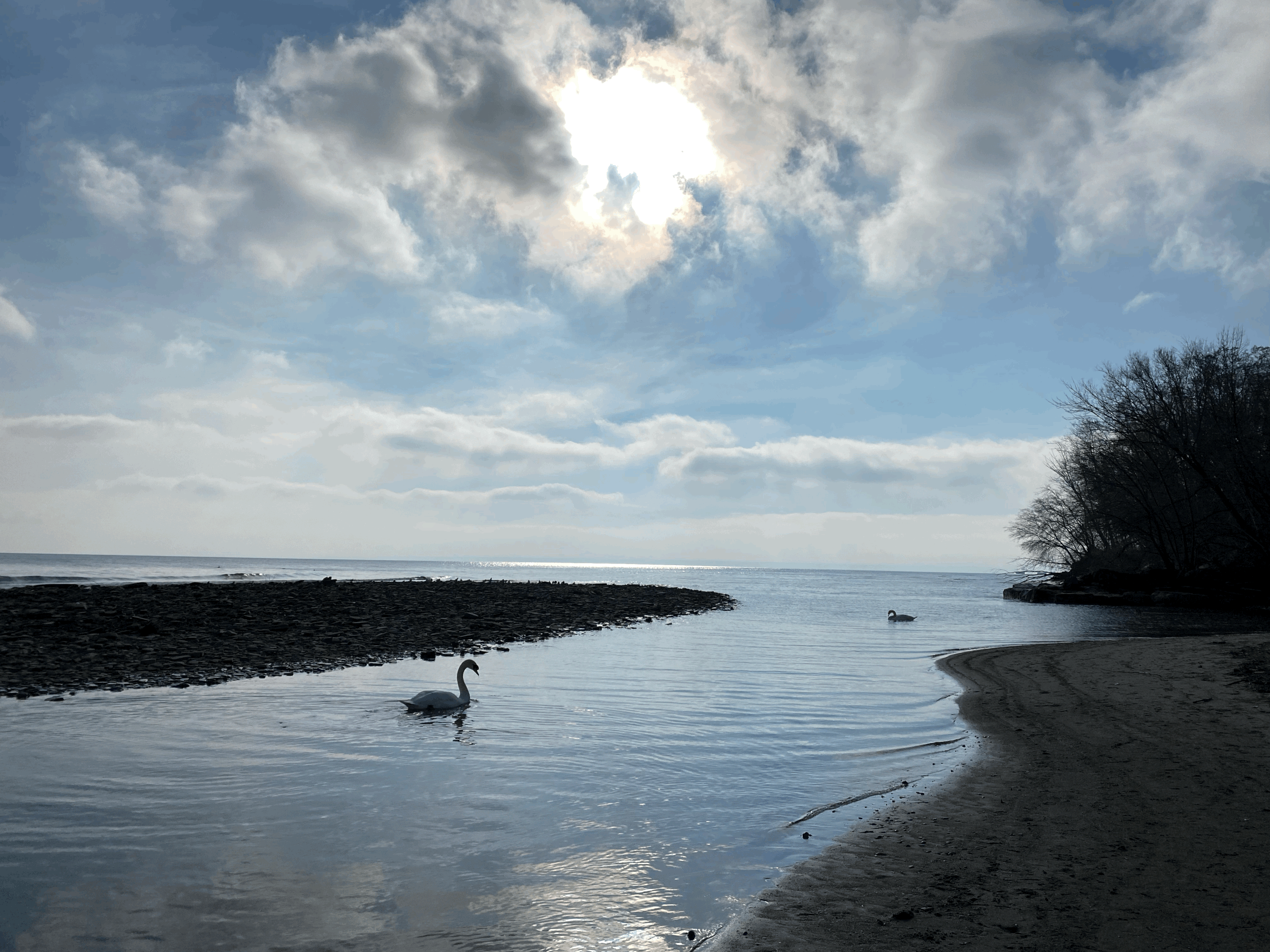 Designing Continuity: Why Human Inheritance Matters