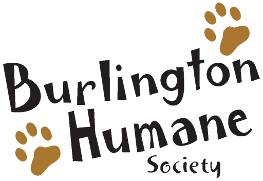LegacyNex × Burlington Humane Society