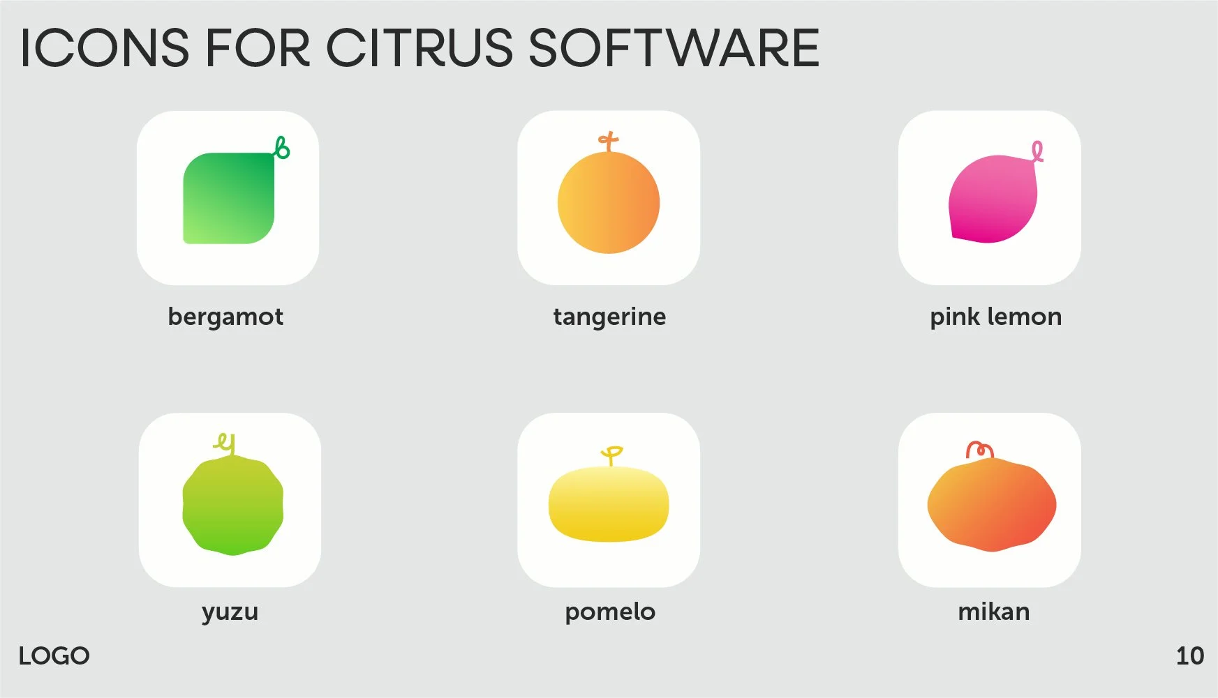 Citrus Identity Guide Pictorial Icons