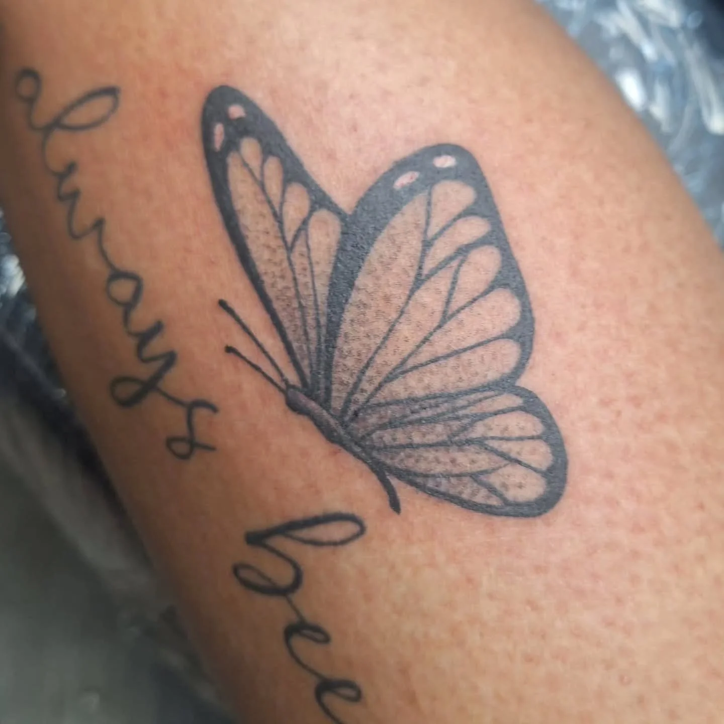 Little stipled butterfly by our Apprentice Cory!