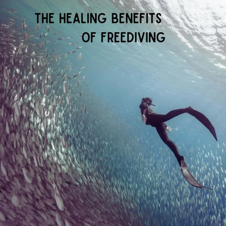 Feel the freedom beneath the waves and unlock the healing potential within you. 🌊✨
Want to learn more? Click the link in our bio!
#InnerDepthsHealing #FreedivingTherapy #TraumaRecovery #Mindfulness #OceanHealing #InnerPeace #freediving #freedive
