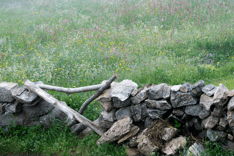 Boundaries Free Sensitive Idealists/Activists from Overwhelm