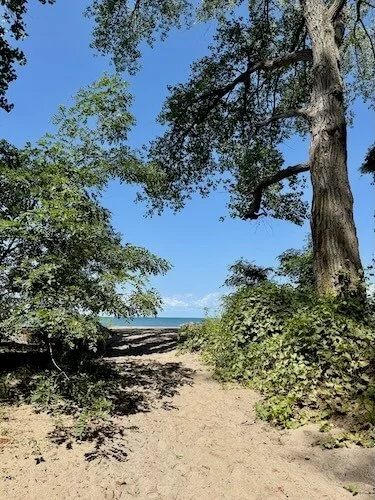 Erie PA Singularly Sensitive founder Lori Cangilla mentor coach Certified Forest Therapy Guide HSP highly sensitive women leadership development entrepreneur solopreneur nature environment ecopsychology activist creative confidence virtual worldwide