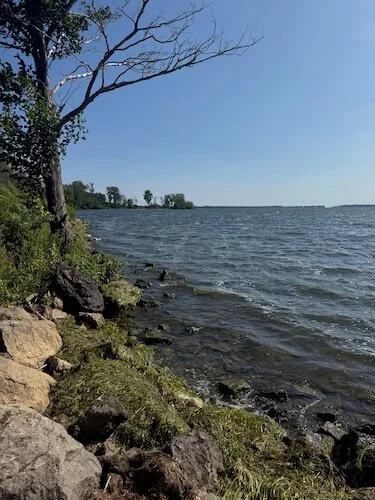 Beach forest therapy walk certified forest therapy guide CFTG Lori Cangilla founder of Singularly Sensitive HSP highly sensitive woman mentor coach leader community membership confidence personal growth facilitator entrepreneur activist ecopsychology