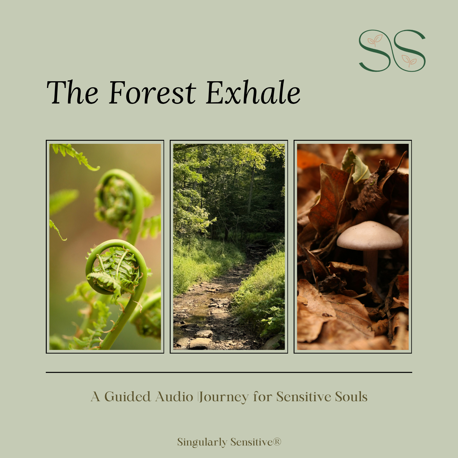 The Forest Exhale