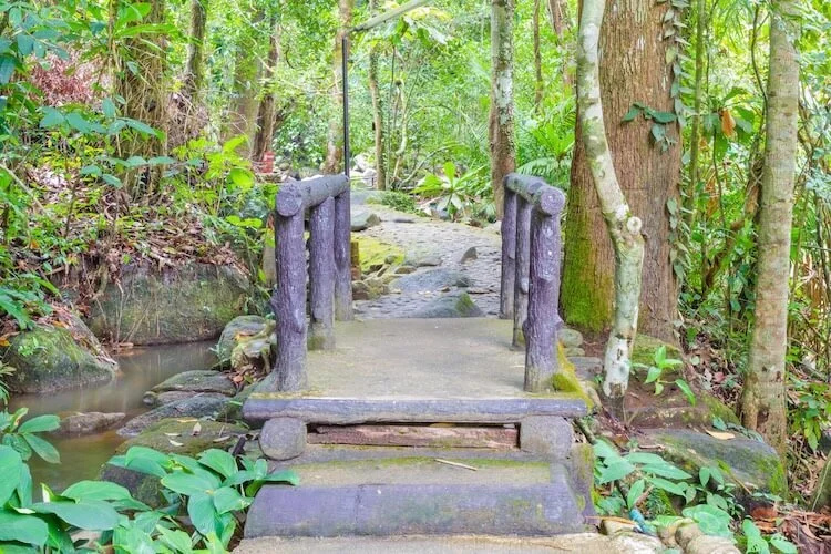 Rustic bridge over a small stream, connecting to a hiking trail leading out of the forest