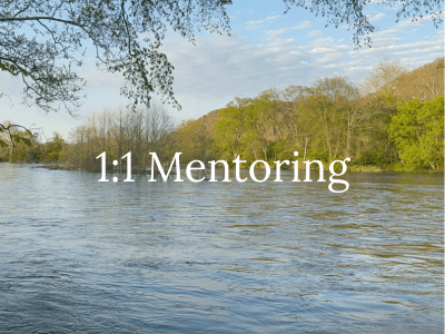 Coaching Meets Forest Therapy in a Unique Mentoring Experience