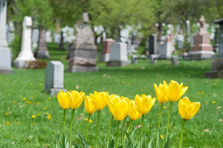 When Words Won’t Come: On Grief and Storytelling