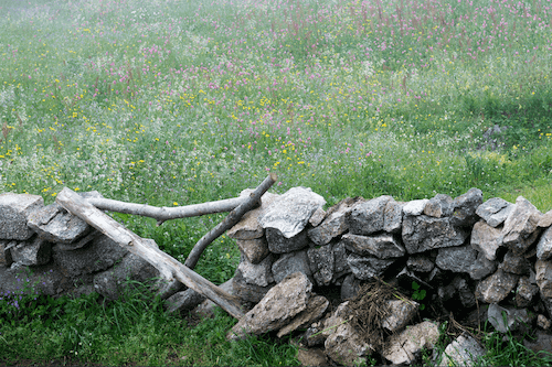 boundaries boundary HSP highly sensitive person activist idealist overwhelm thrive thriving goal ambition ambitious