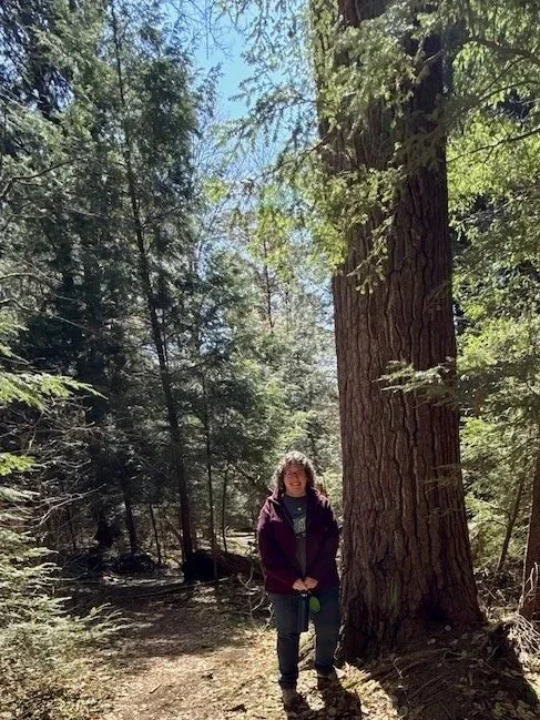 Certified Forest Therapy Guide Lori Cangilla pictured hiking in an old-growth forest