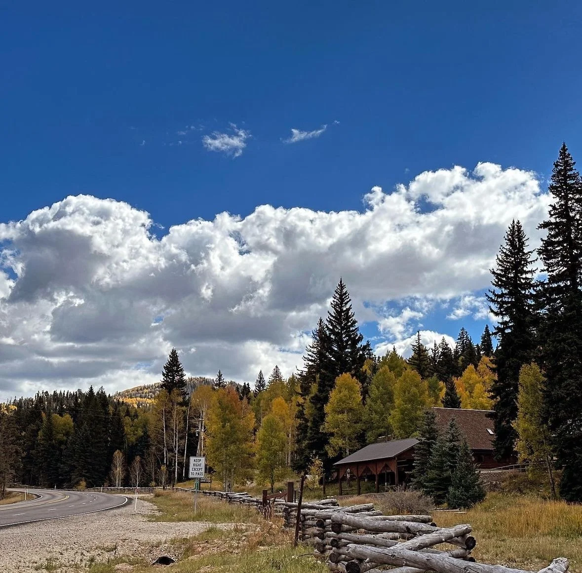 cabin.jpg