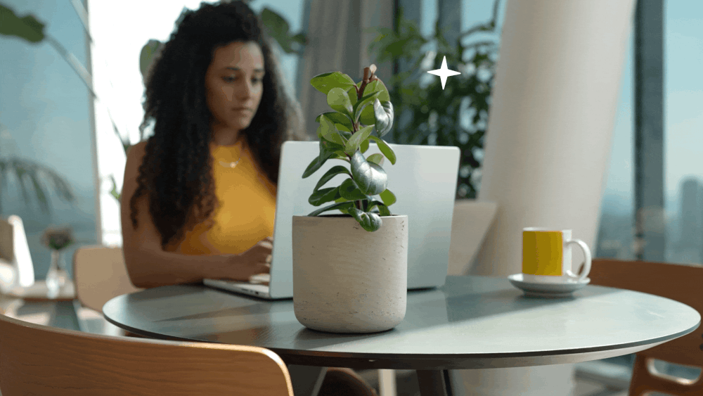 The monday.com Video — Brand Film by Eli Znaty Studio for monday.com