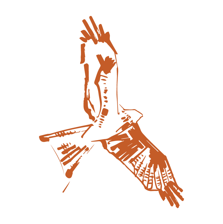 Bird.png