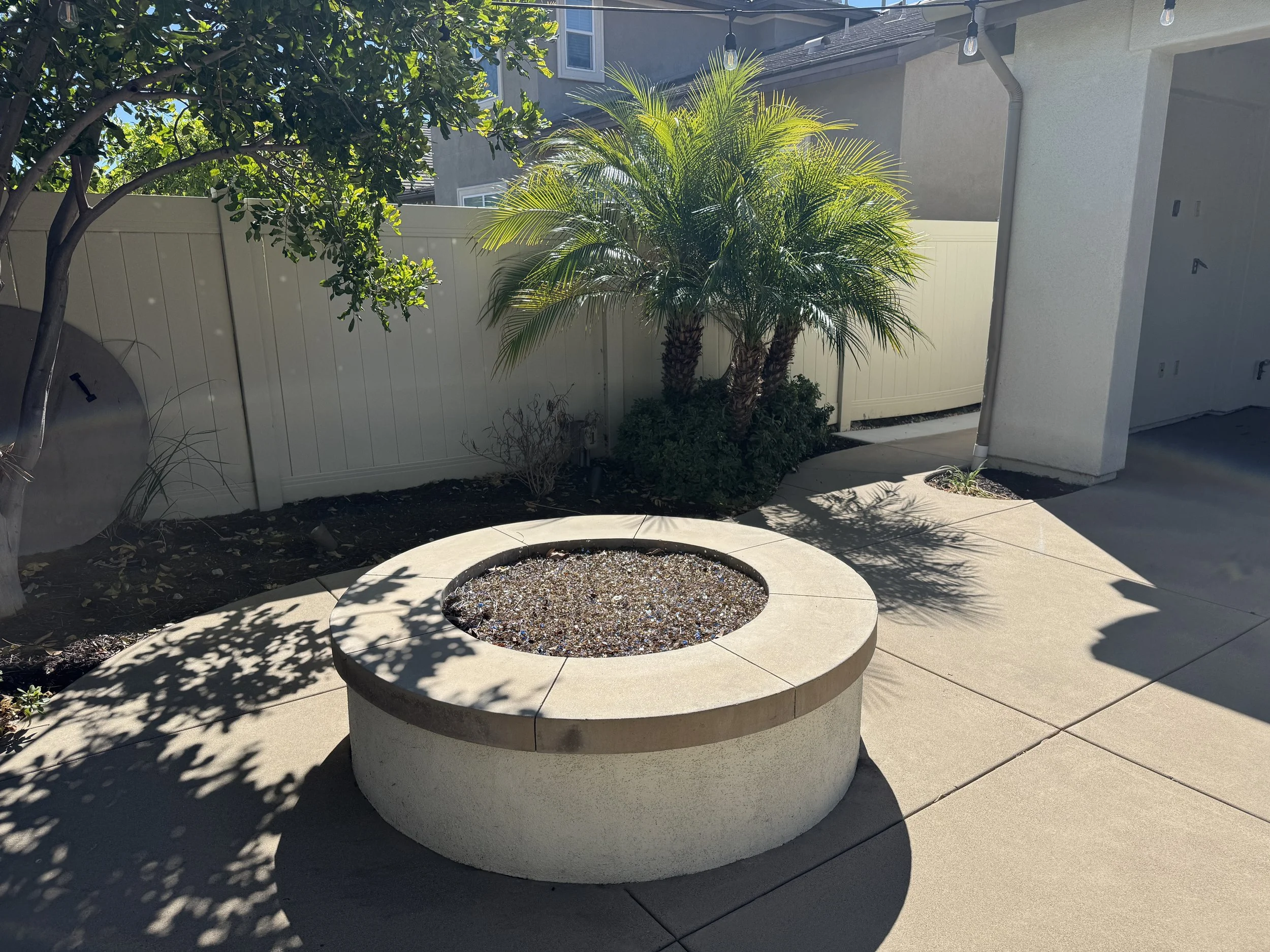 backyard-5.JPG