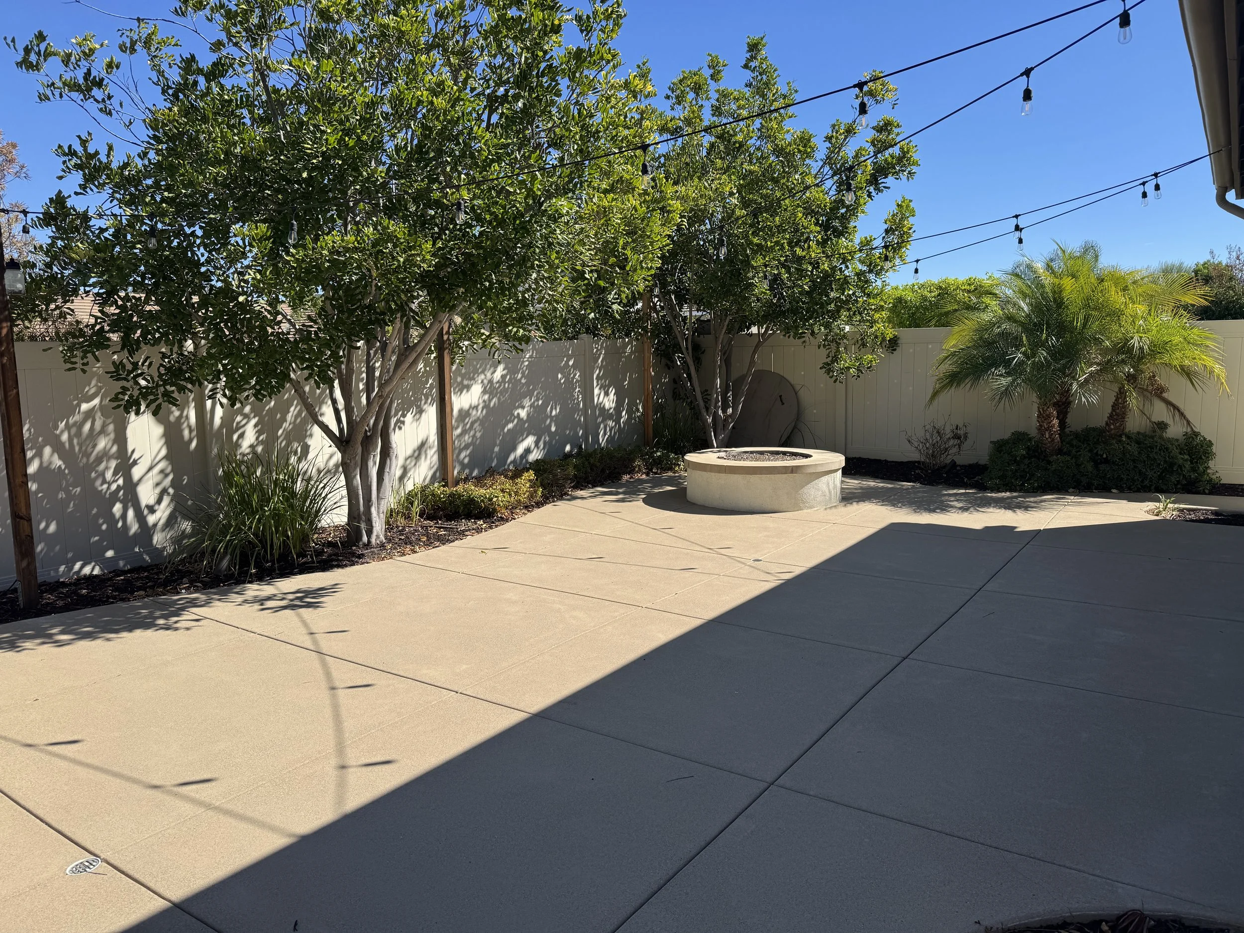 backyard-6.JPG