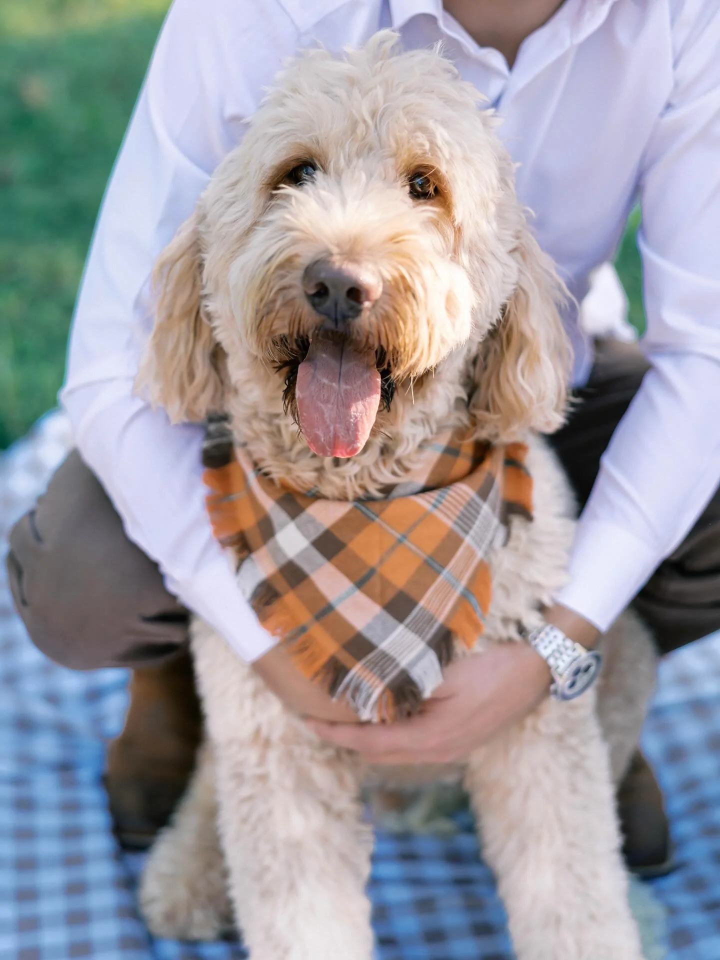 Just a tad emotional today because it&rsquo;s my baby boy&rsquo;s 5th birthday and he will be a big brother next week🩵🐶 Love my Chester so much!!!!