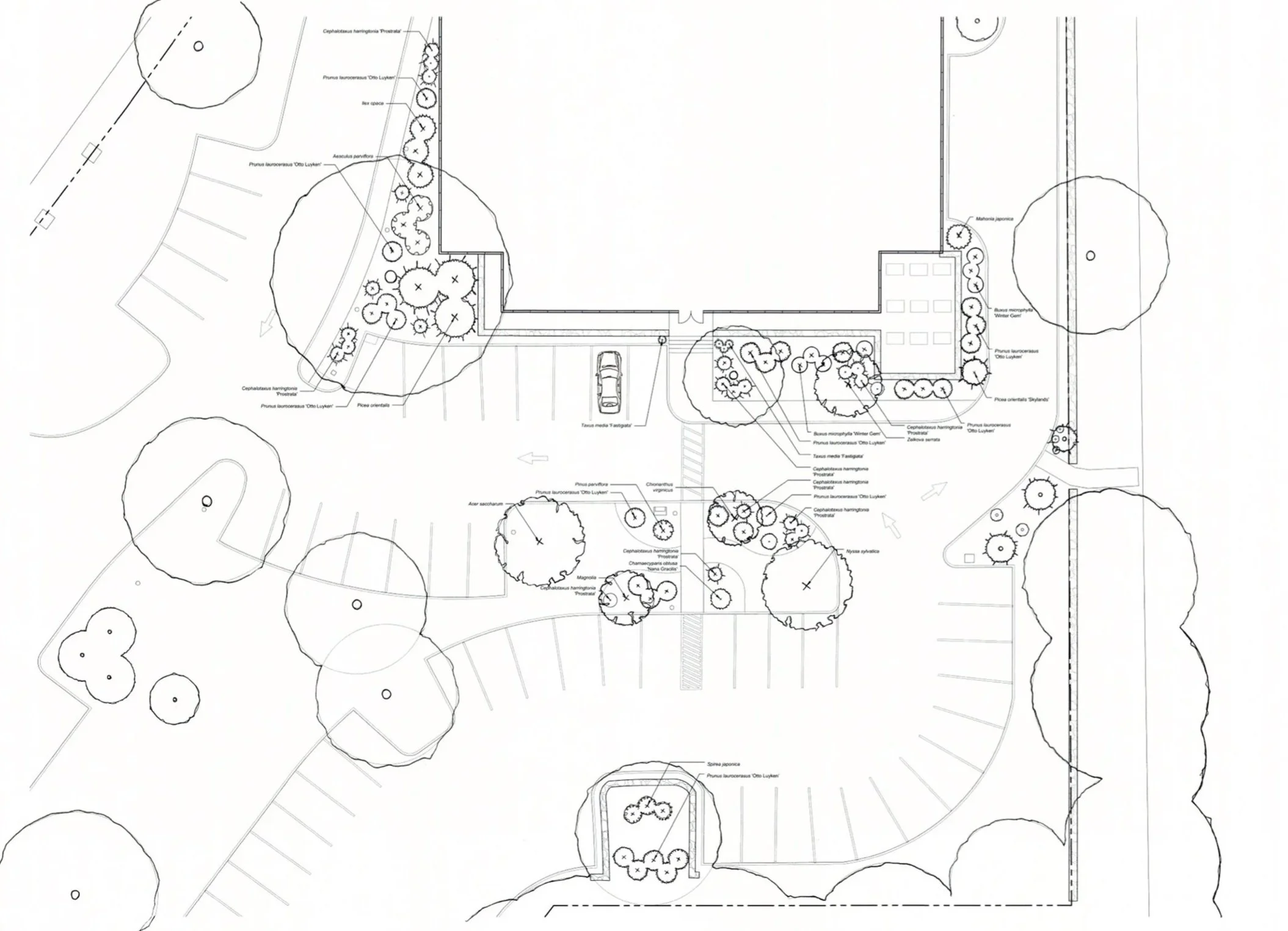 Post+West+Park+Line+Drawing.jpg