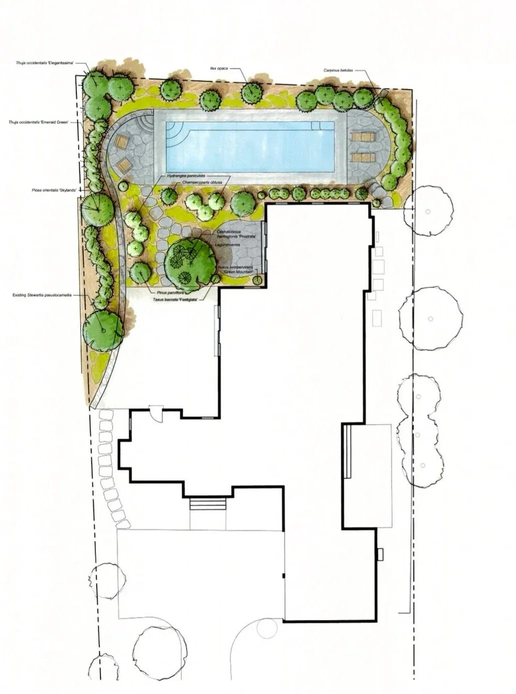 Leeming+Plan.jpg
