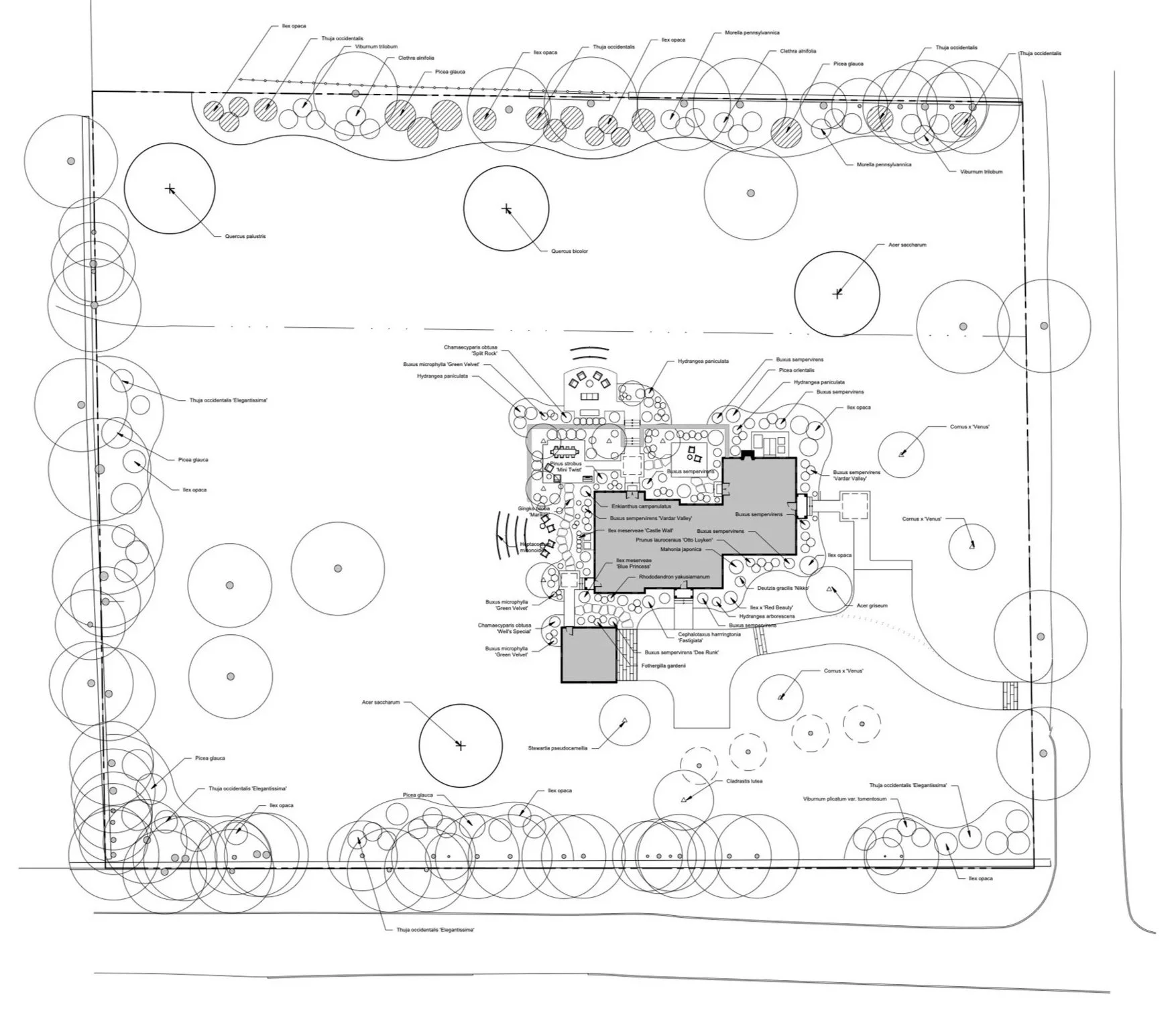 05+28+26+BERMAN+Planting+Plan+.jpg