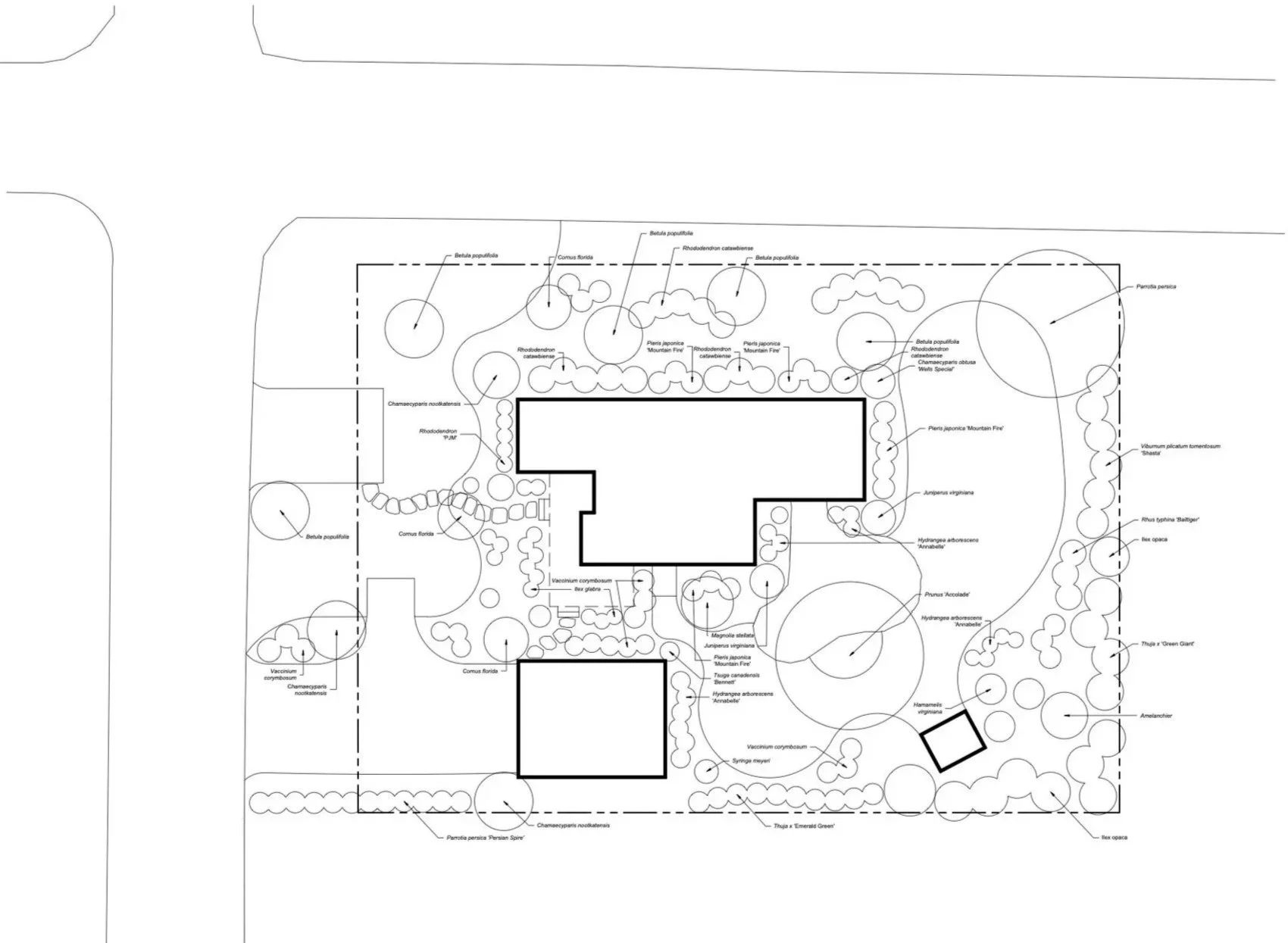 COVEY_24x36_plt-38%2BForest%2BAve.jpg